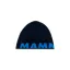 Mammut Logo Beanie in Marine-Ice
