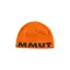 Mammut Logo Beanie in Arumita-Night